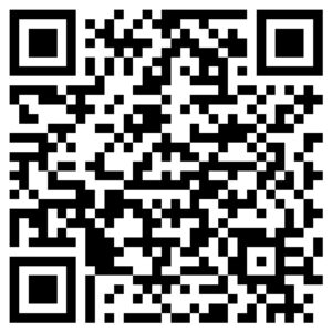 qr umfrage - Inconcepts Template